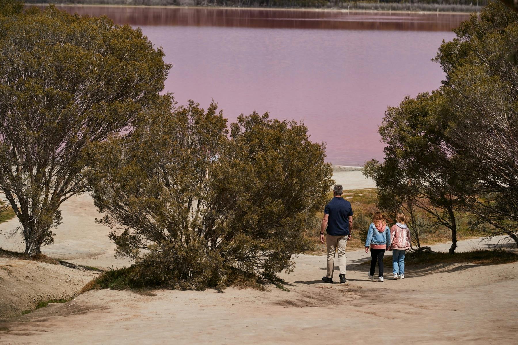 Pink Lake access walk