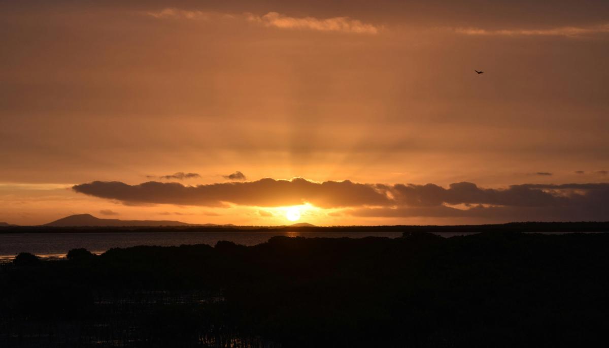 Port Albert Motel Sunset