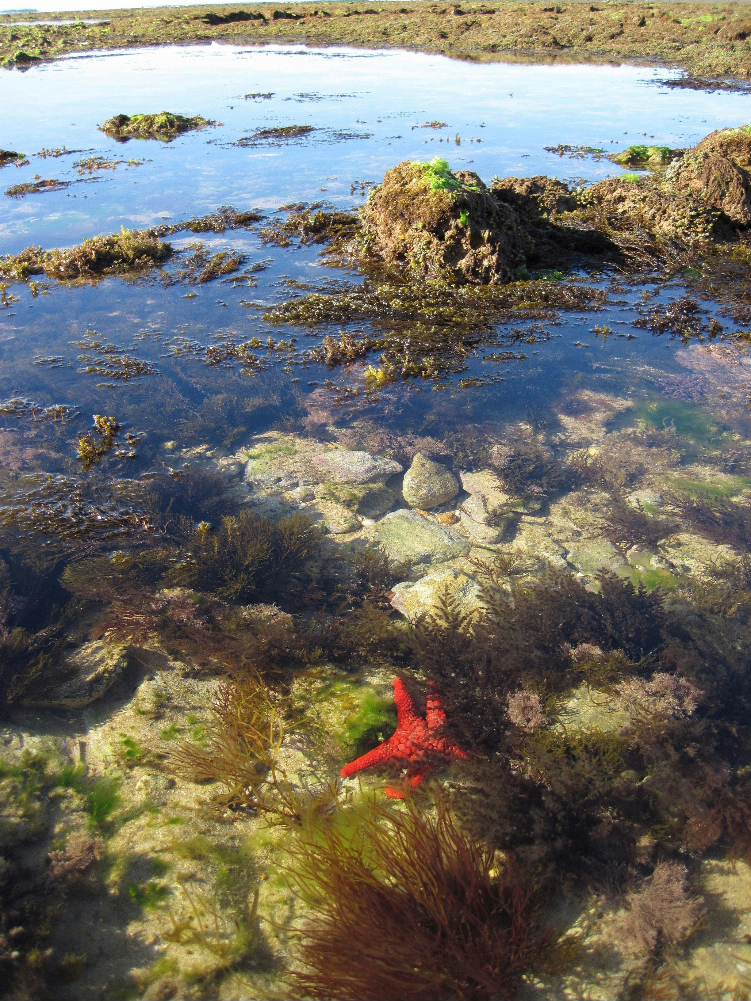 Point Danger Marine Sanctuary