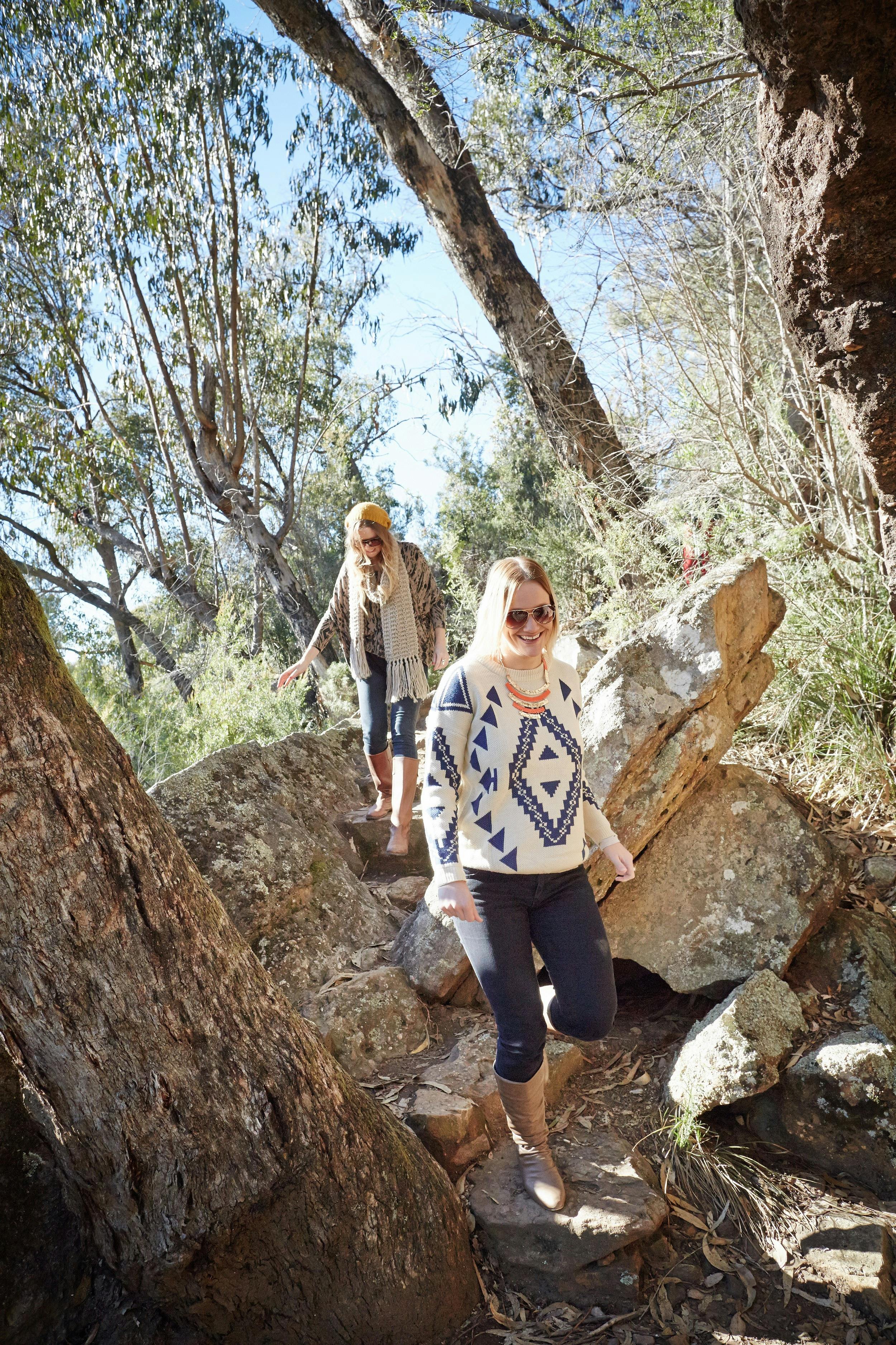 Track into Paradise Falls