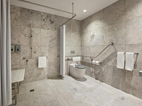Accessible Superior Bathroom