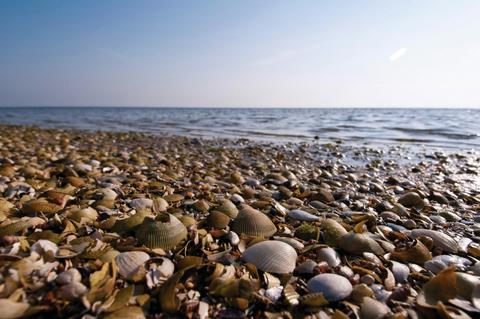 Port Phillip Heads Marine National Park