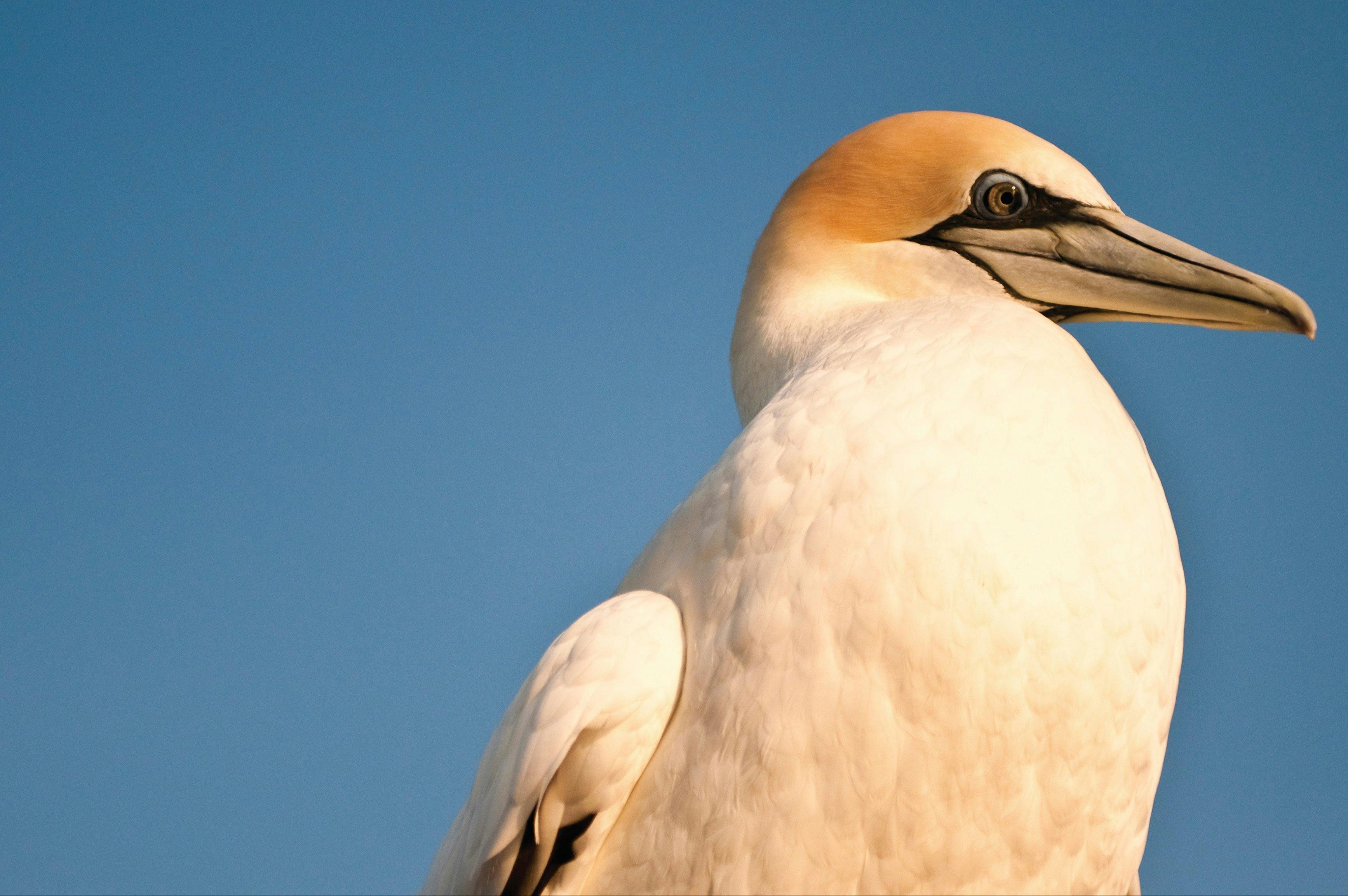 Port Phillip Heads Marine National Park