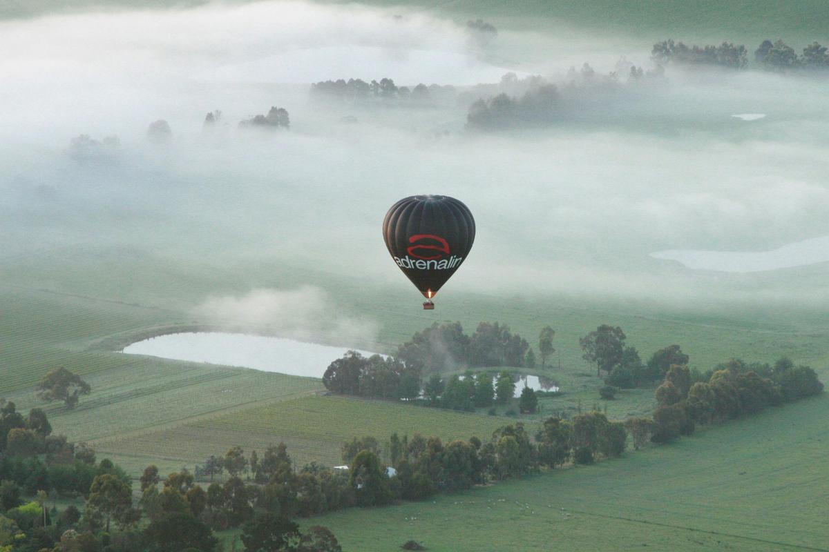 Picture This Ballooning