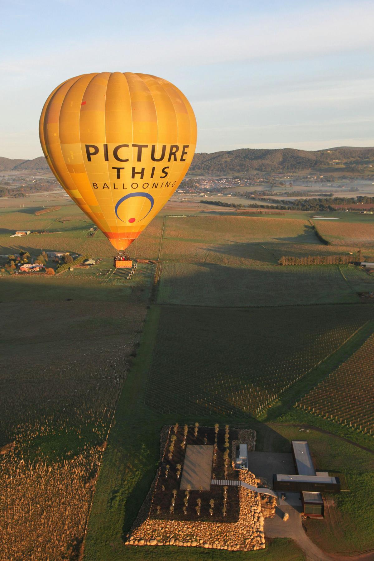 Picture This Ballooning