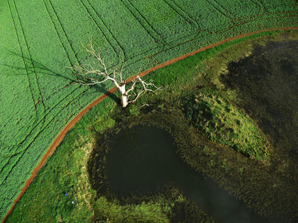 Beautiful view of Daylesford from a hot air balloon