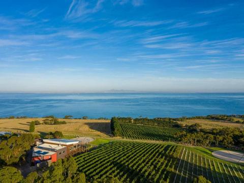 Jack Rabbit Winery Long Leisurely Lunch