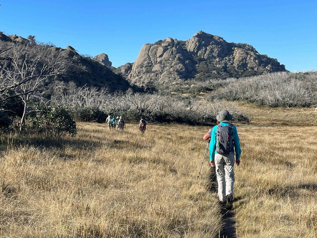 Vic Alps Highlights Guests