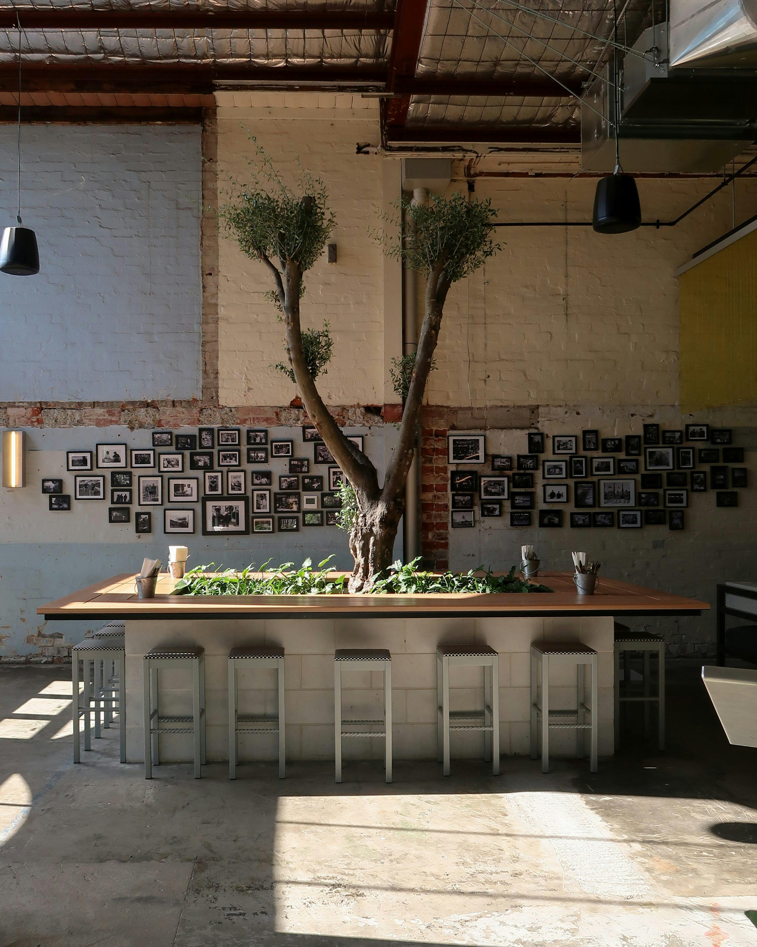 Pirate Life South Melbourne Interior #1