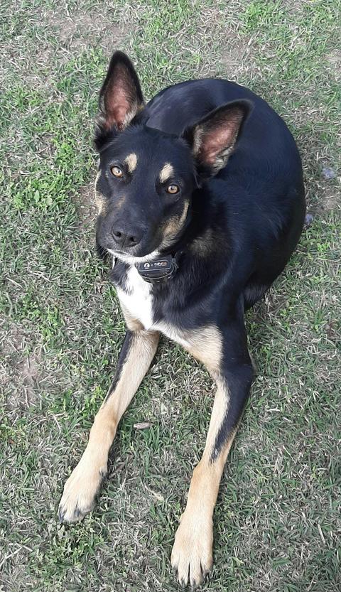 Pelycan Landing Country Retreat