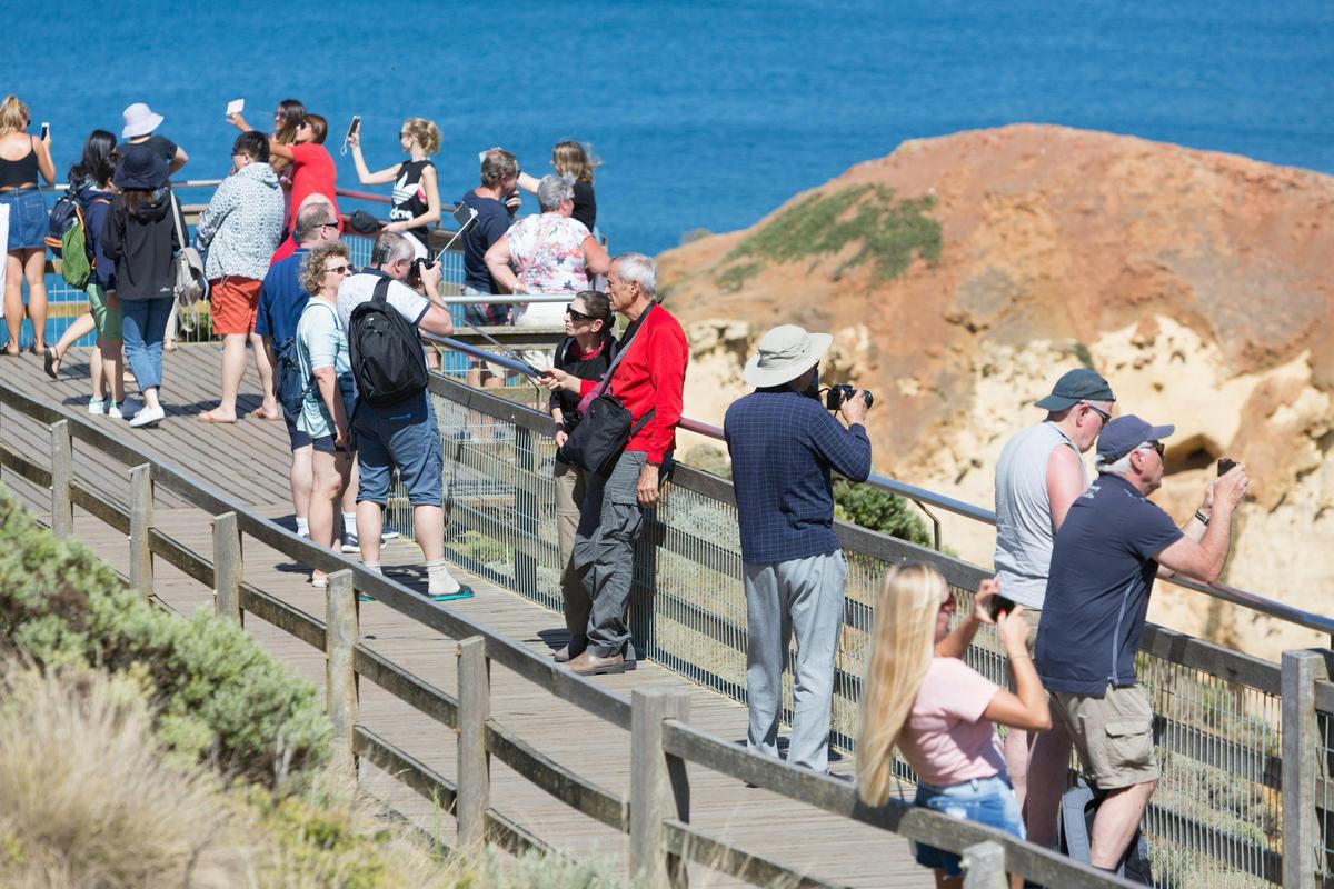 Great Ocean Road DayTour - Bus Tour