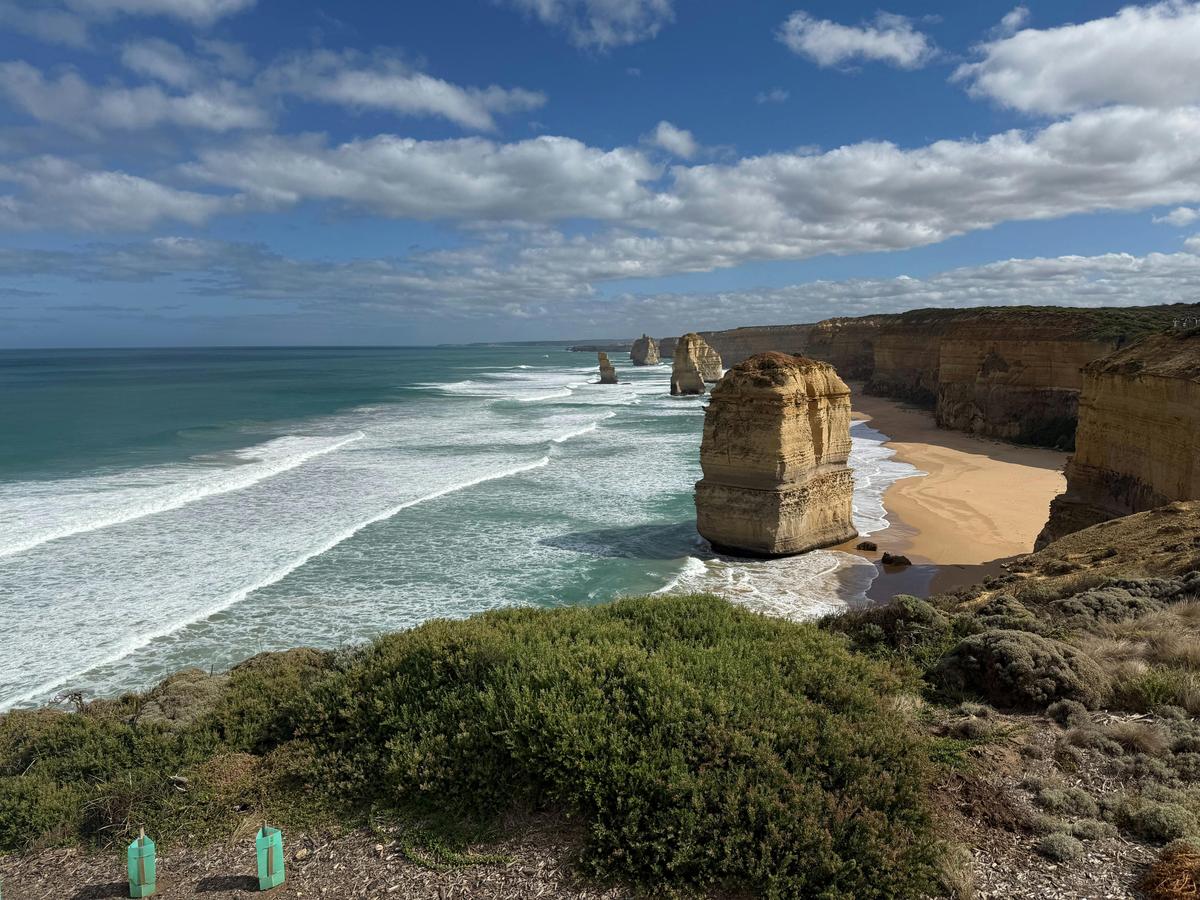 Twelve Apostles Back Roads Gourmet Bus Tour