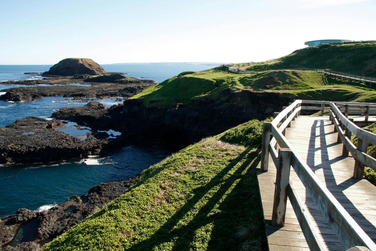 Phillip Island - The Nobbies