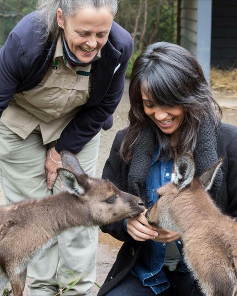 Healesville Sanctuary with Oceania Tours