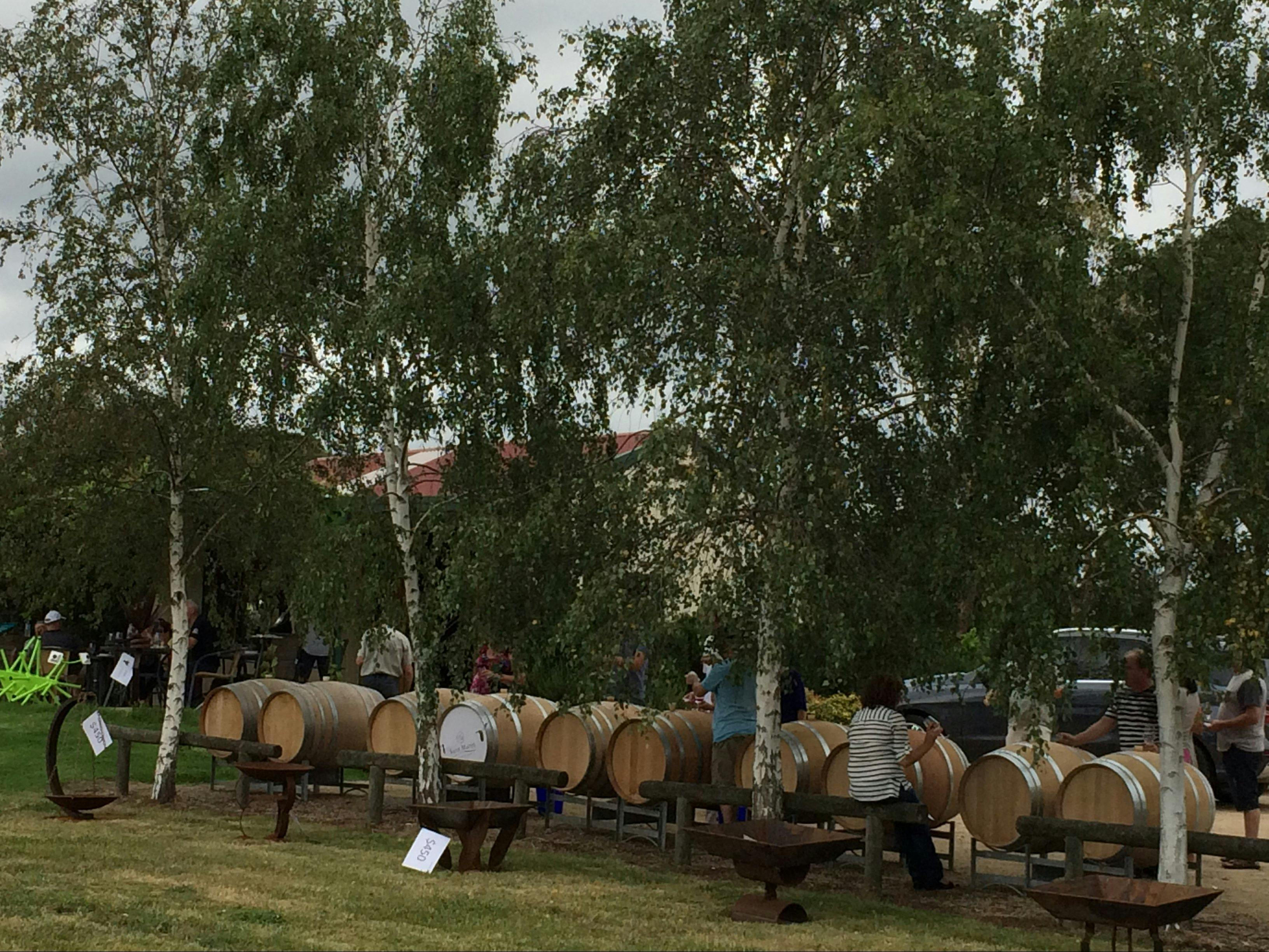 Barrel tasting at our cellar door