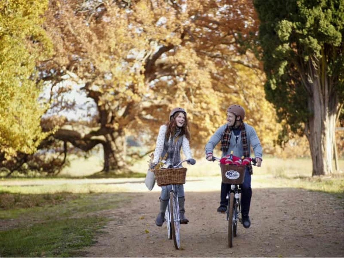 Pedal to Produce