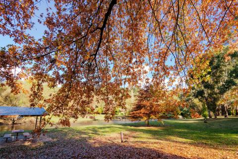 Perkins St Picnic Area Jamieson