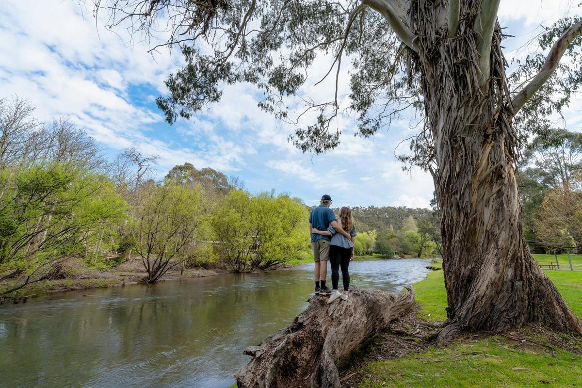 Jamieson riverbank
