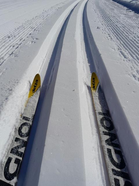 Peak to Peak Cross Country Skiing