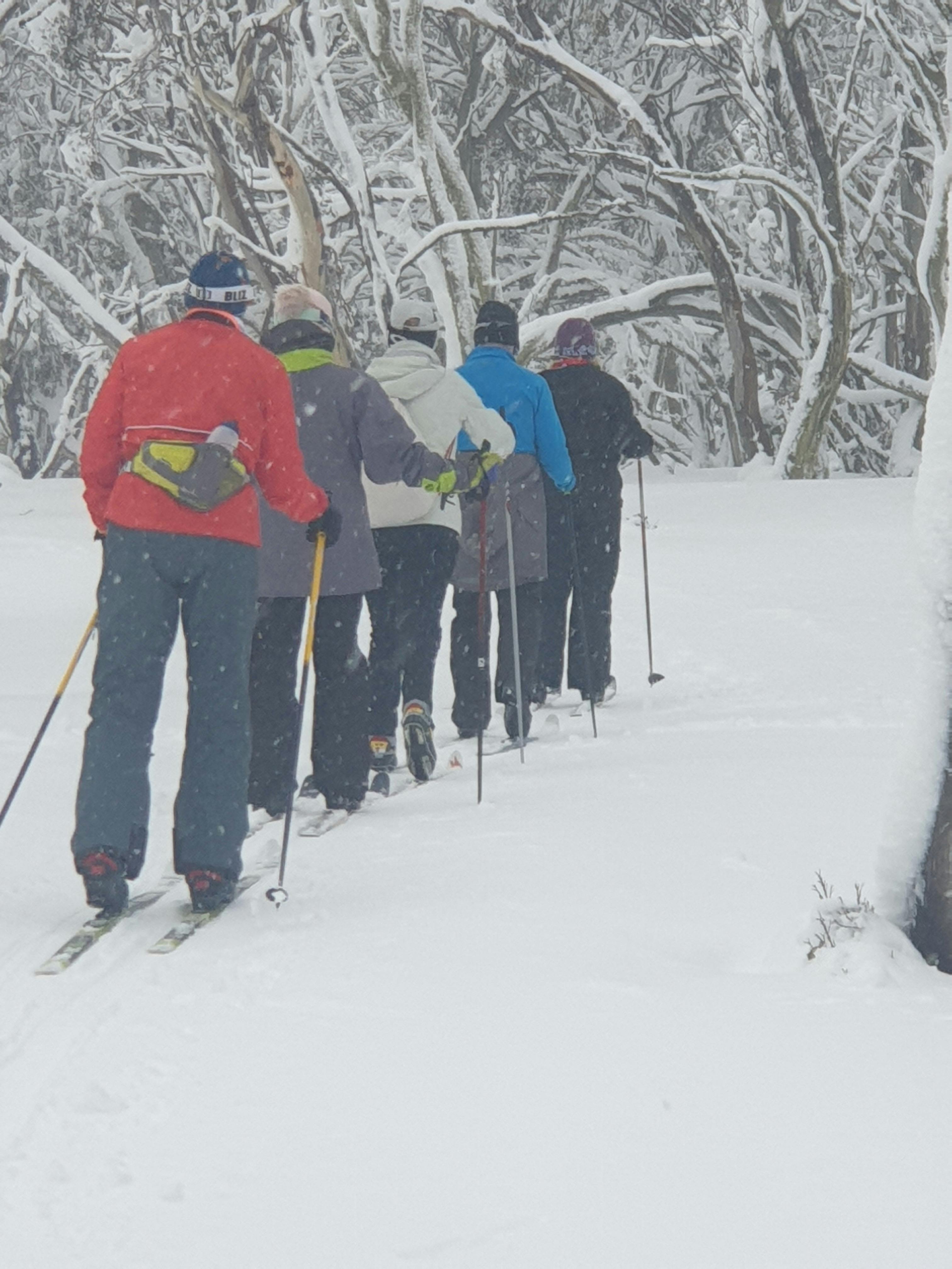 Cross country skiing with nature