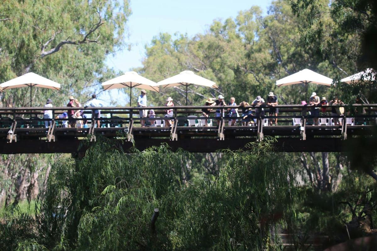 Pfeiffer Wines Sunday Creek Bridge