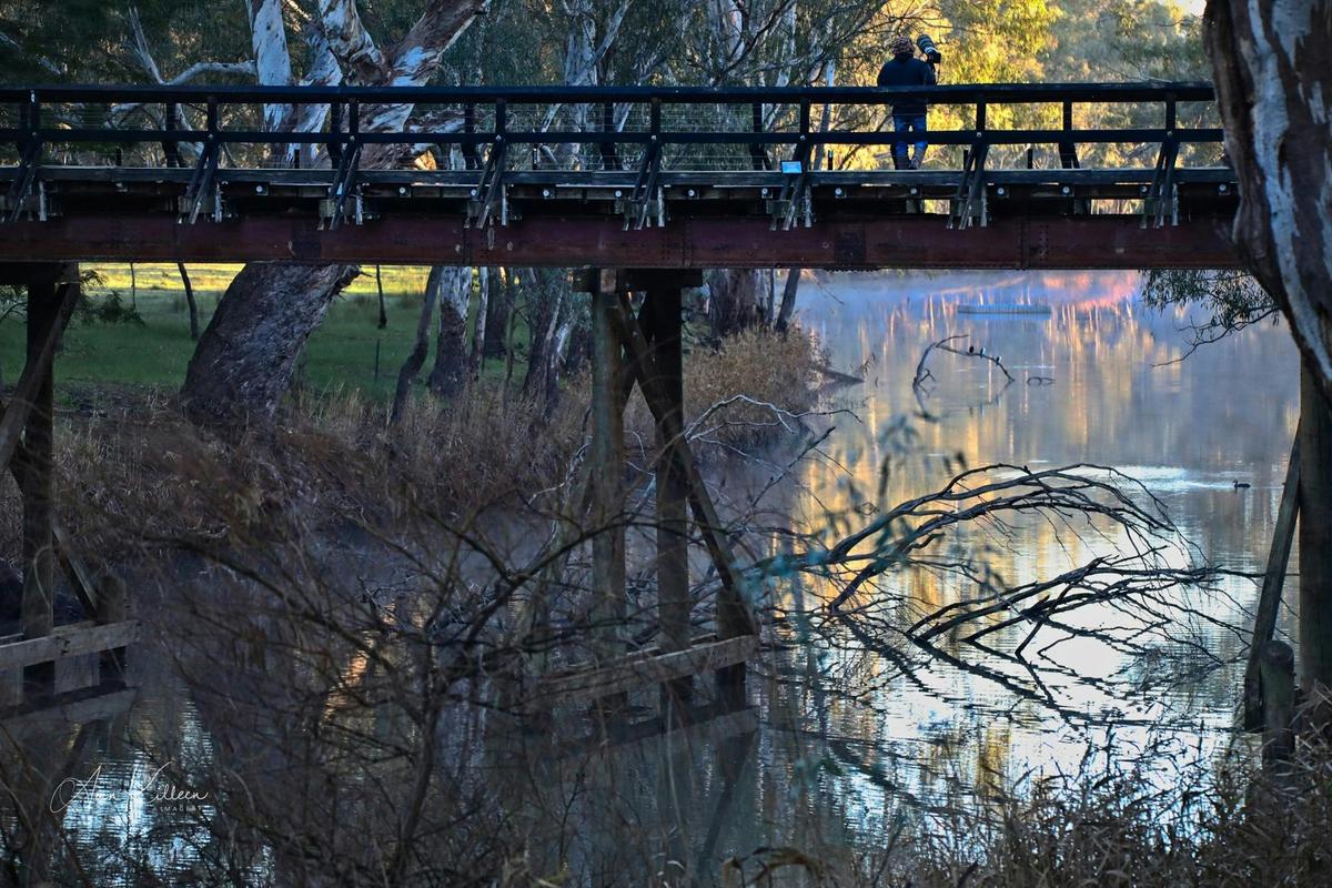 Pfeiffer Wines Sunday Creek Bridge