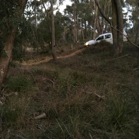 4WD on track.