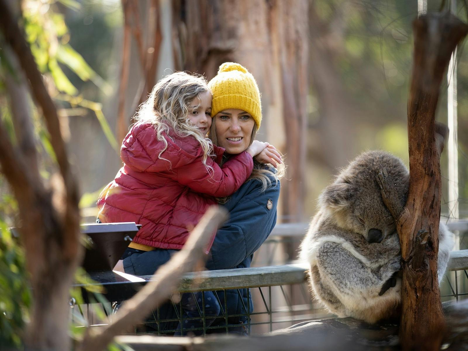 Koala Conservation Reserve