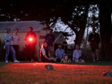 Bandicoot Discovery Tour