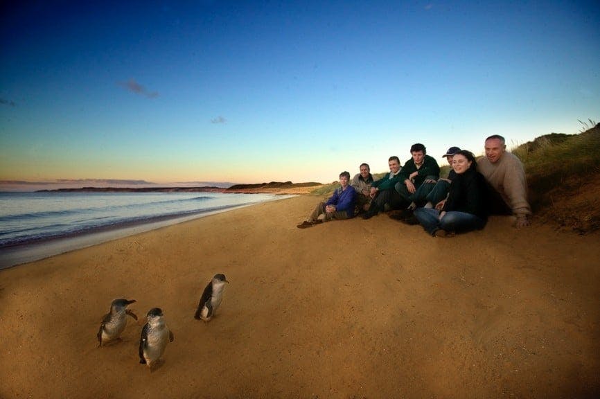 Phillip Island