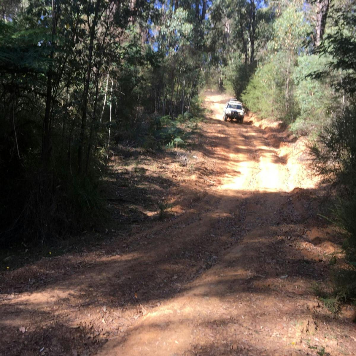 Narby tracks