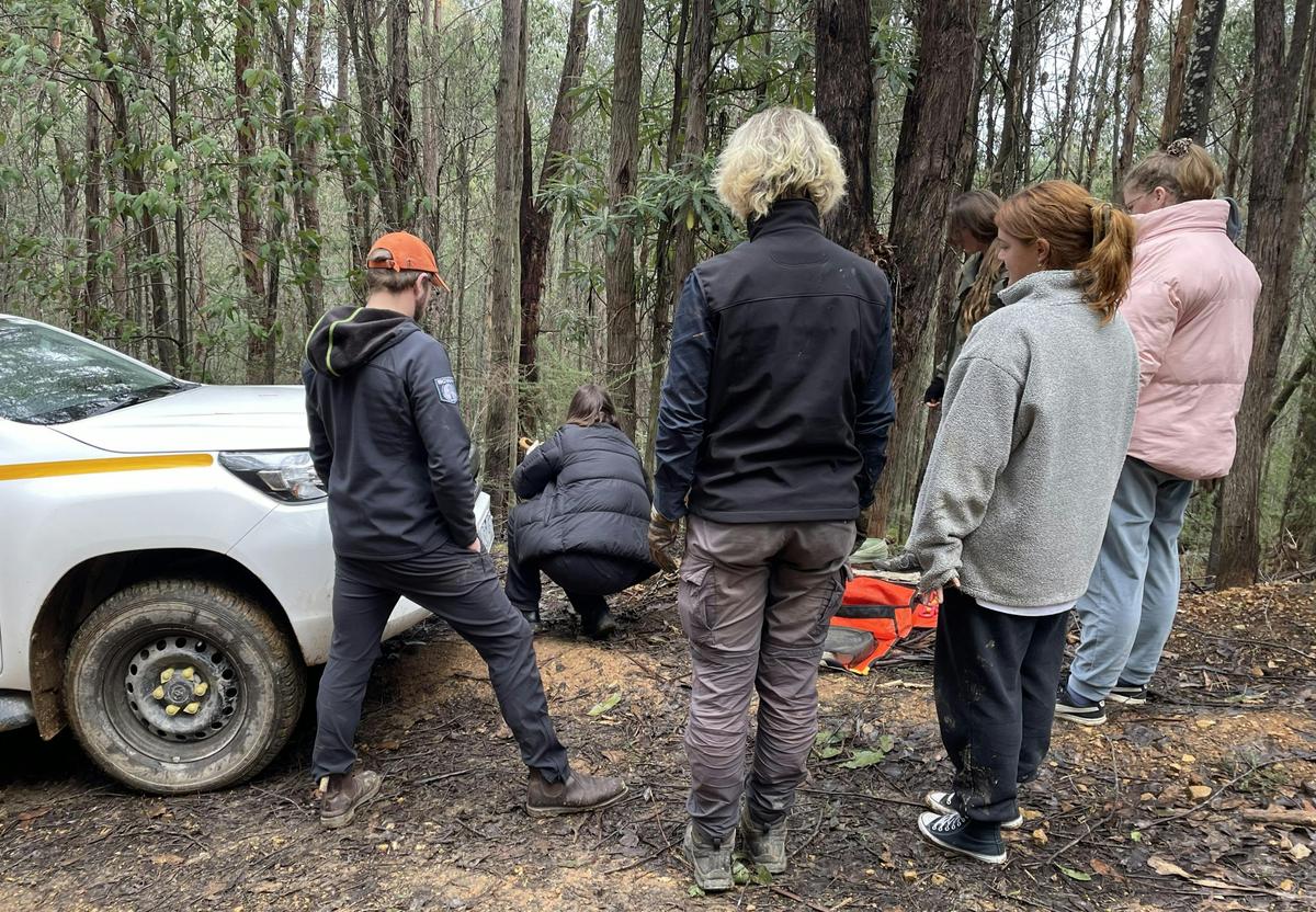 Narbethong - student group