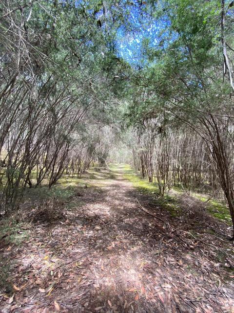 Perfect Cure Creek Nature Trail