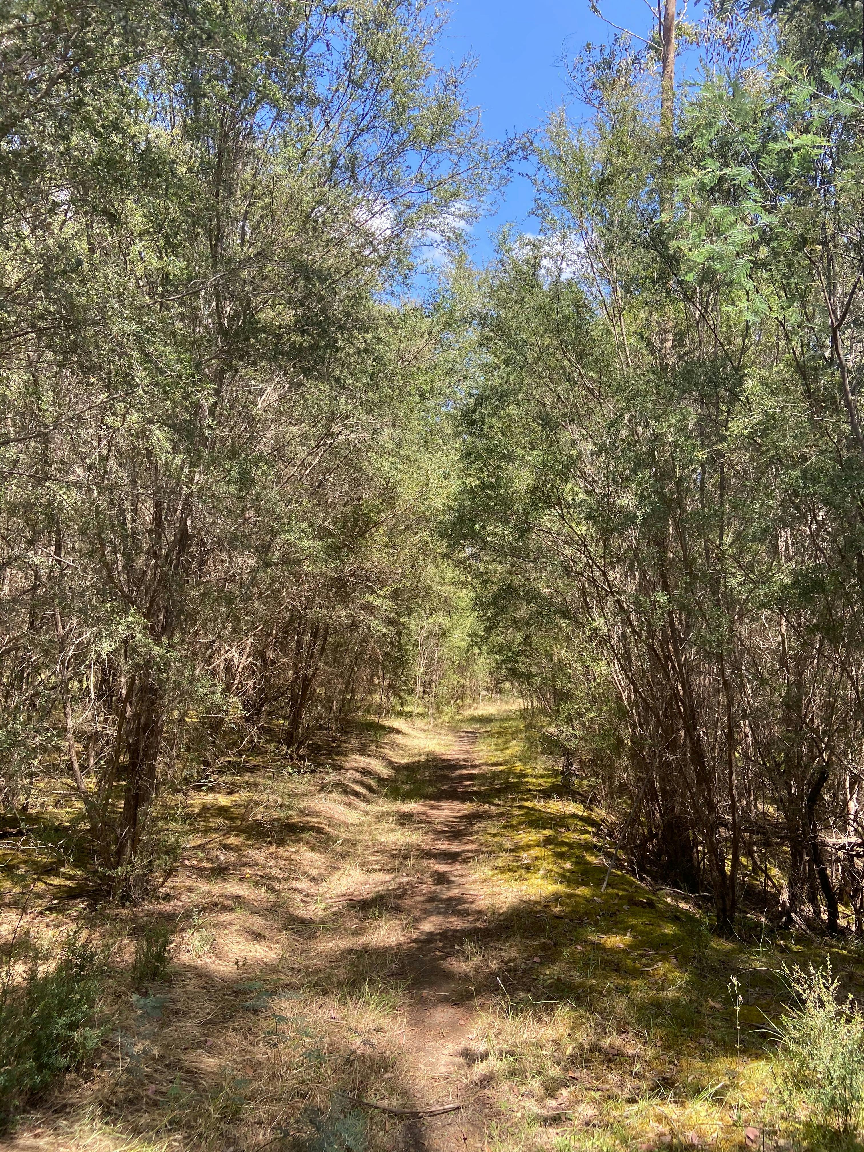 Perfect Cure Creek Nature Trail