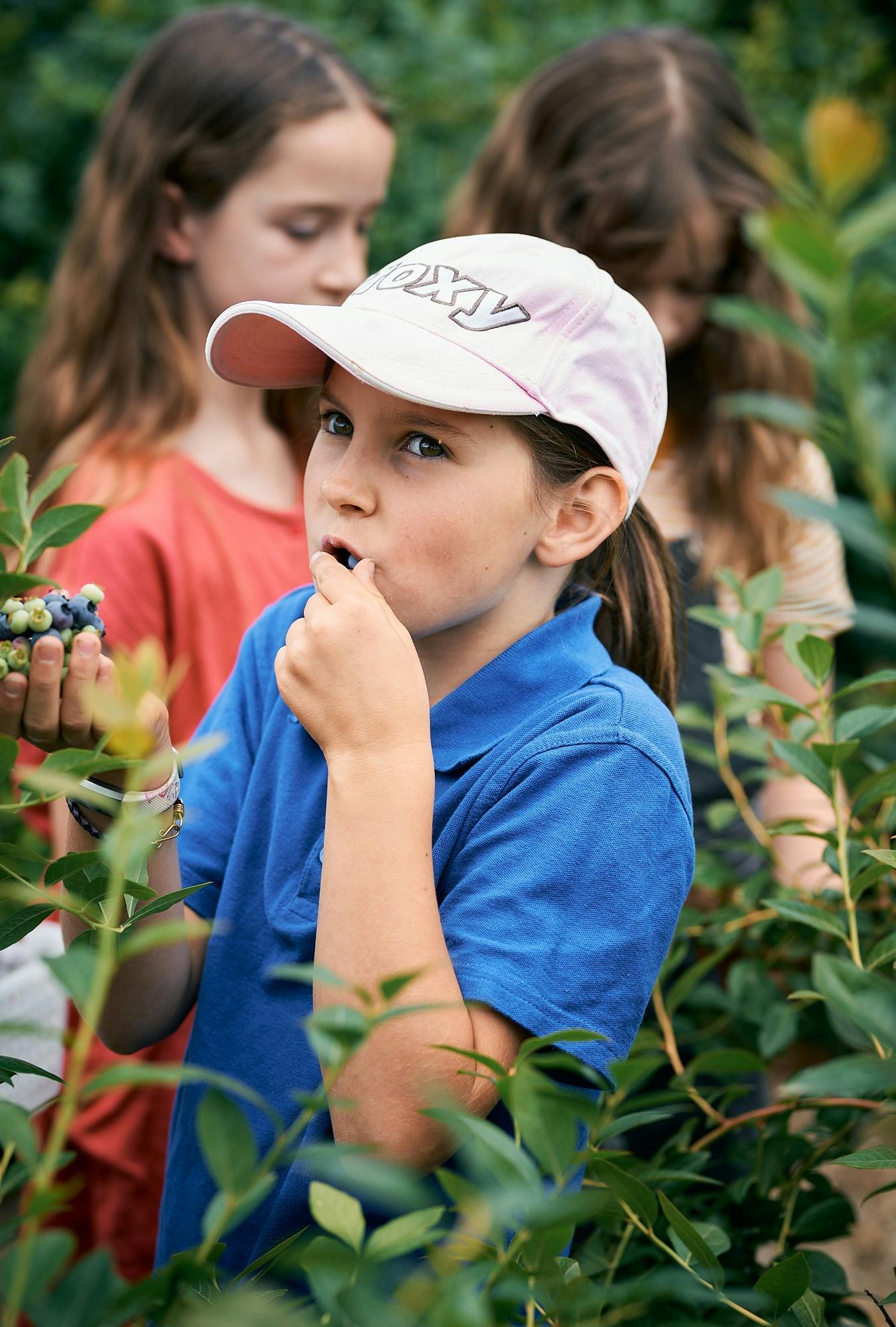 No need for washing. 100% pesticide free.