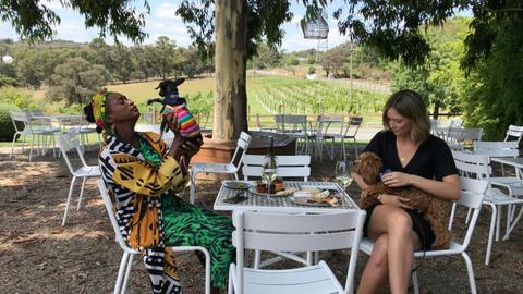 Pooches and Pinot Wine Tours