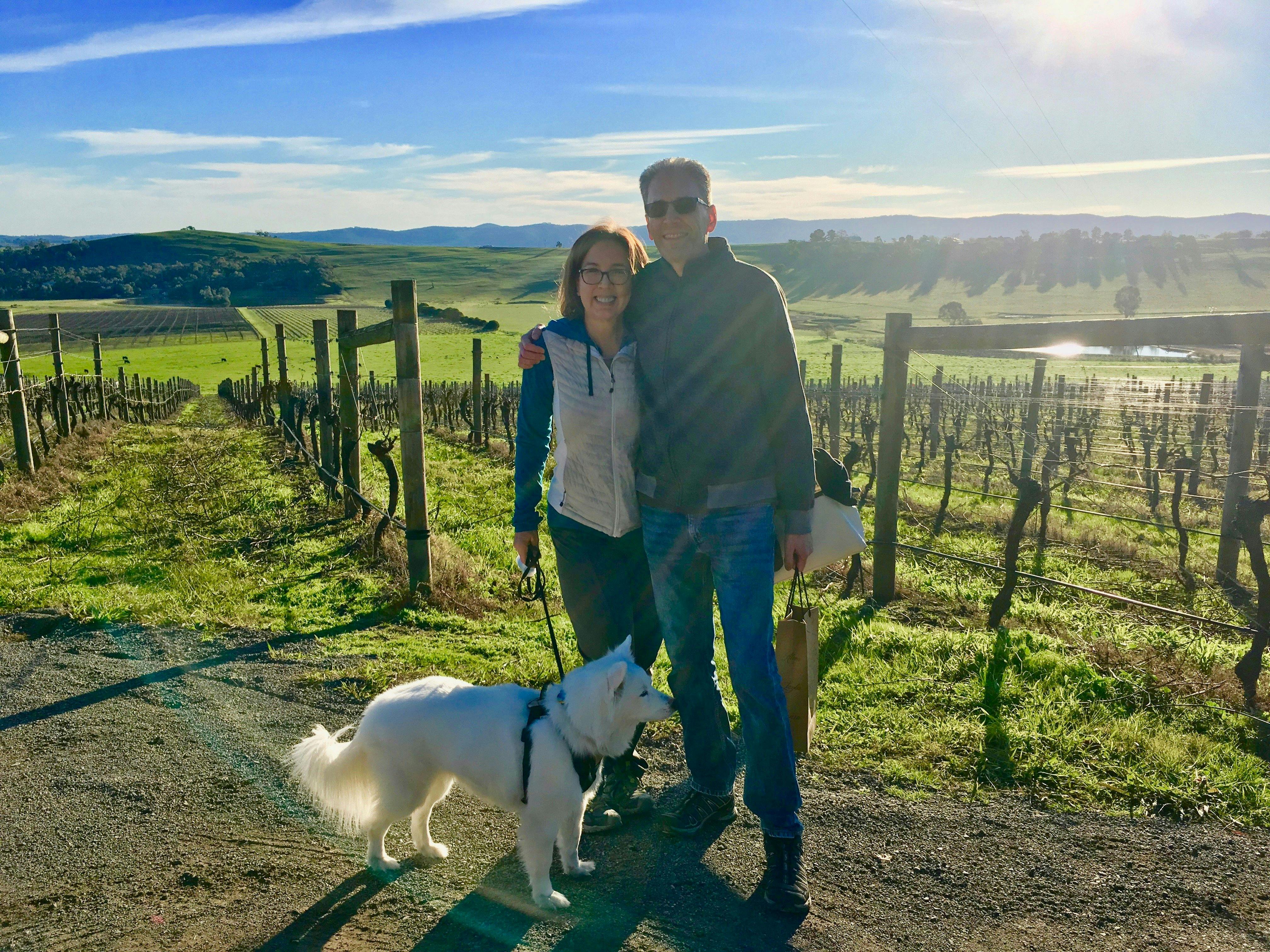 See the Stunning Yarra Valley on a private doggy wine tour with Pooches and Pinot