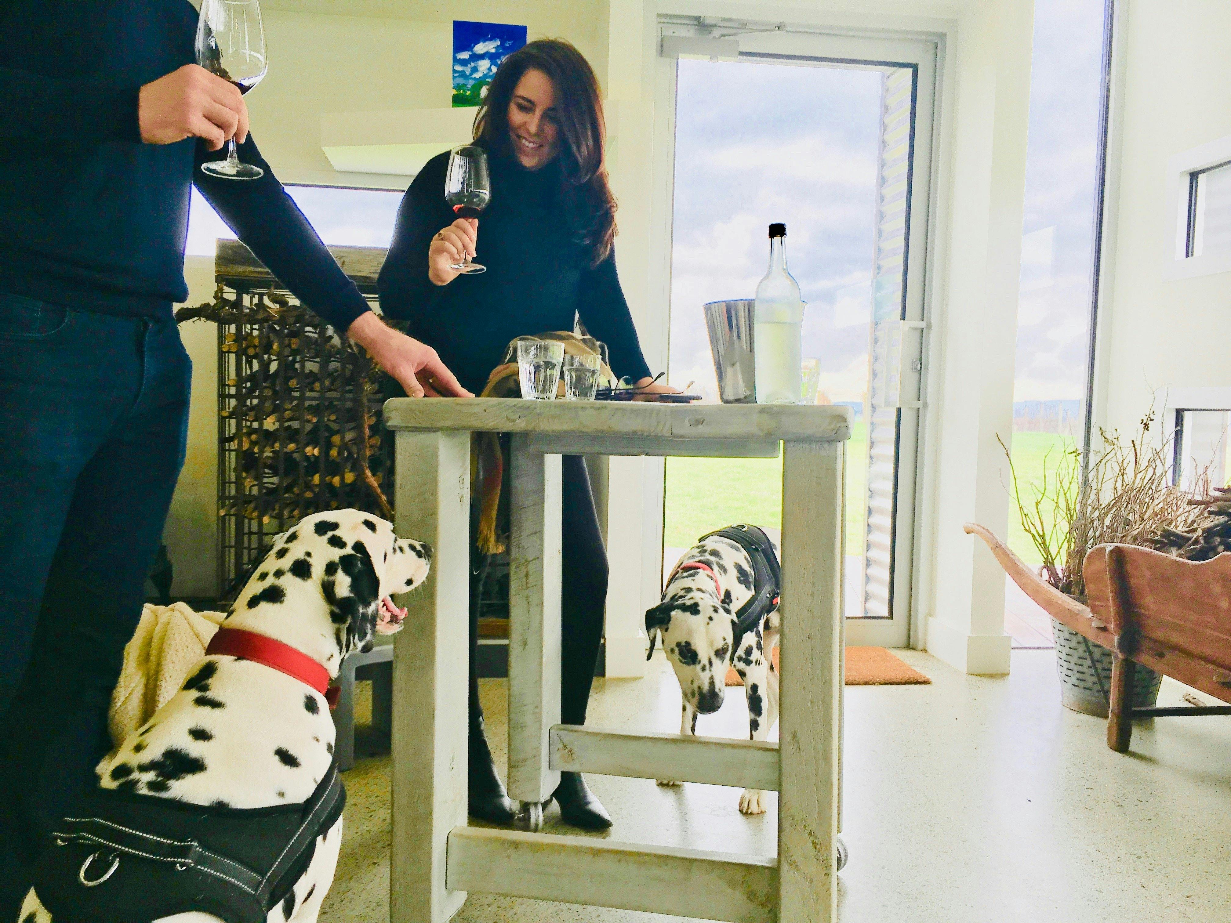 Dalmations on a Pooches & Pinot tour at Maddens Rise winery