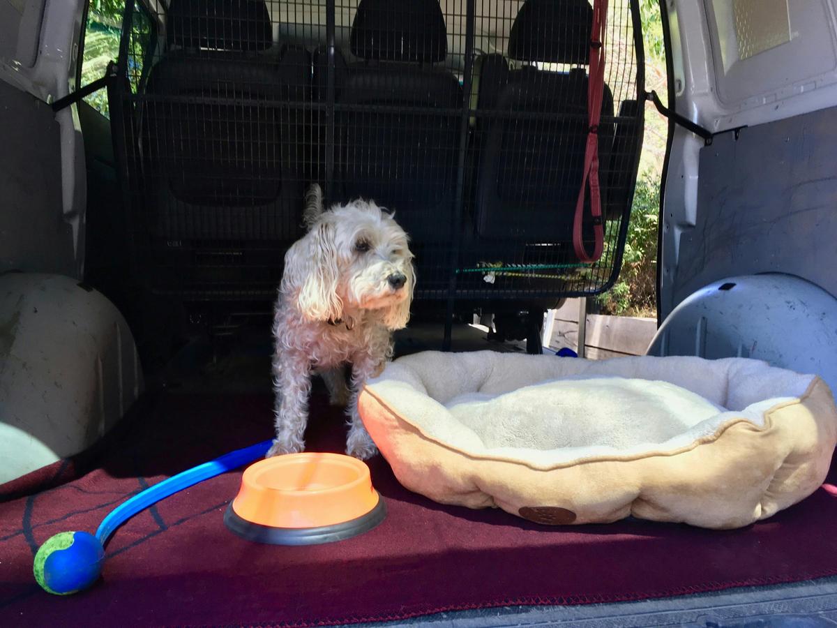 Pooches get to travel in style with their own bed in our Mercedes van