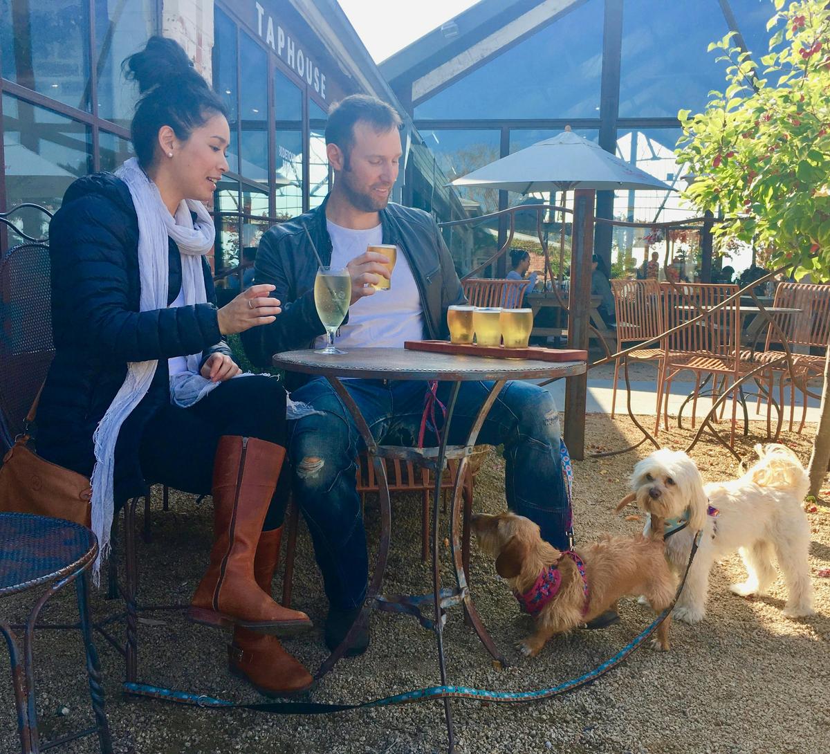 Having a beer & cider tasting paddle with your pooch