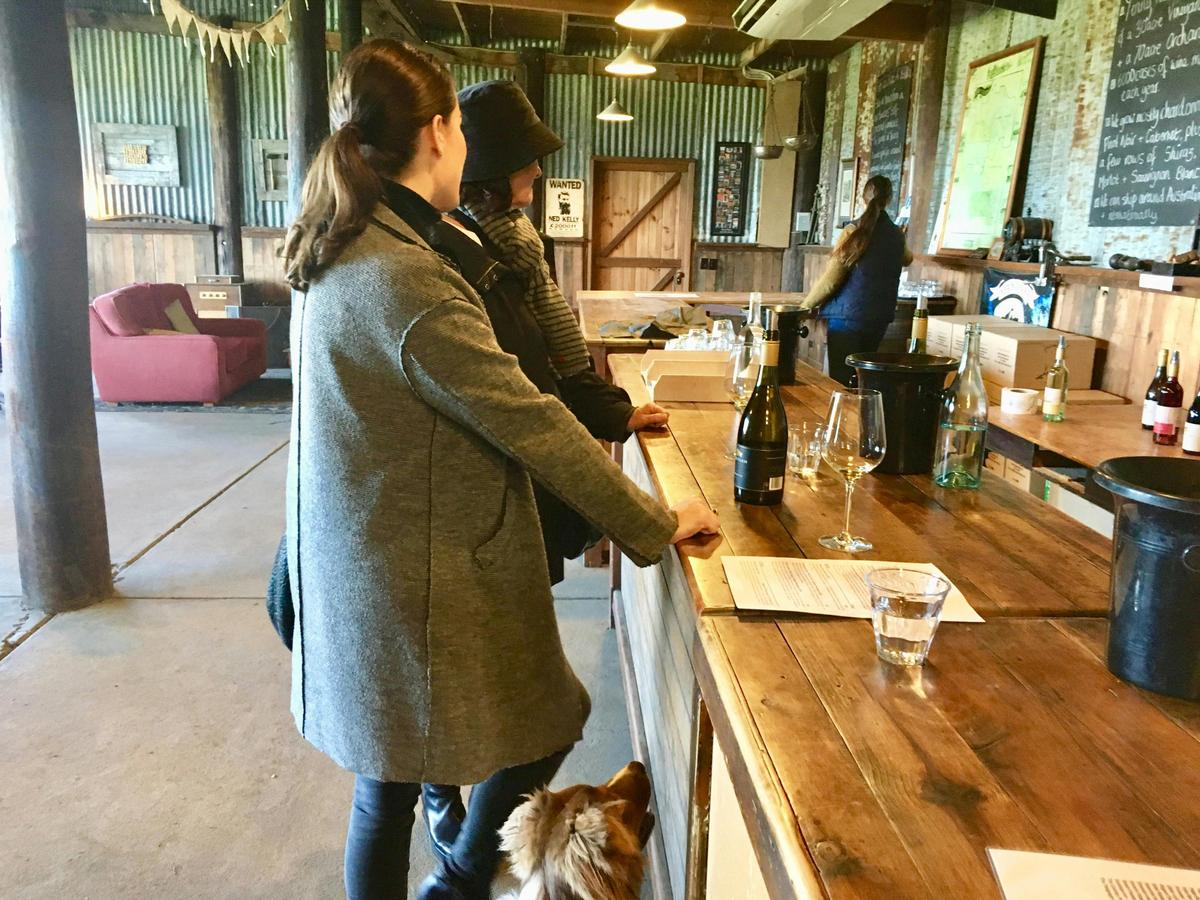 Dog waiting patiently for wine on a Pooches and Pinot Yarra Valley private dog wine tour