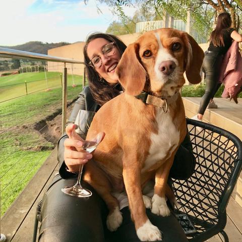 Enjoy a private wine tour with your dog in the Yarra Valley with Pooches and Pinot