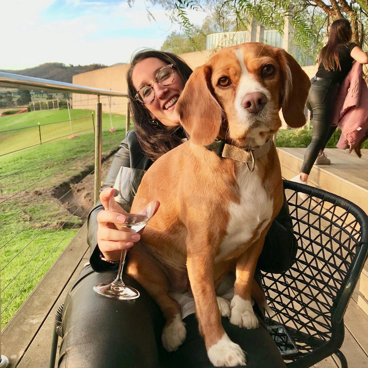 Enjoy a private wine tour with your dog in the Yarra Valley with Pooches and Pinot