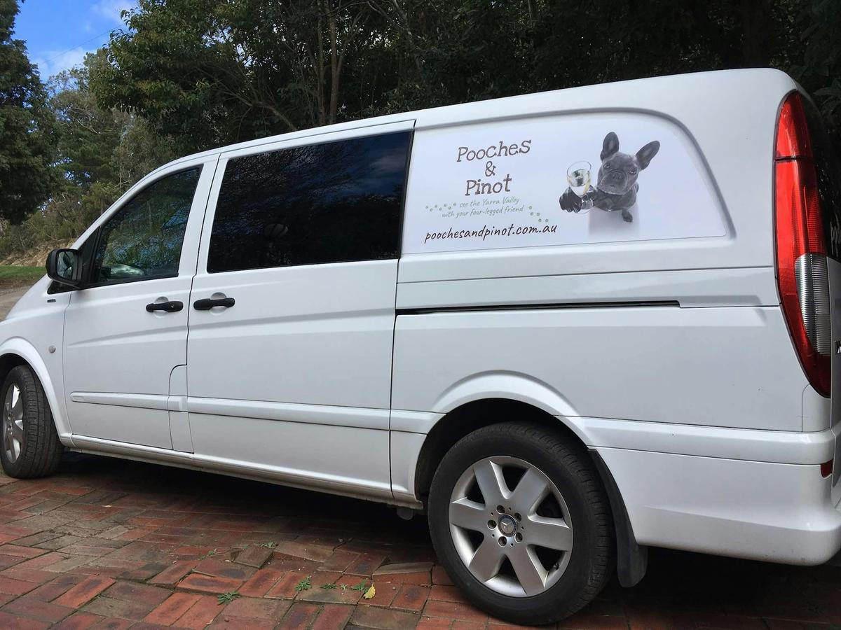 This is your VIP touring van for the day, so you can travel in comfort on your tour