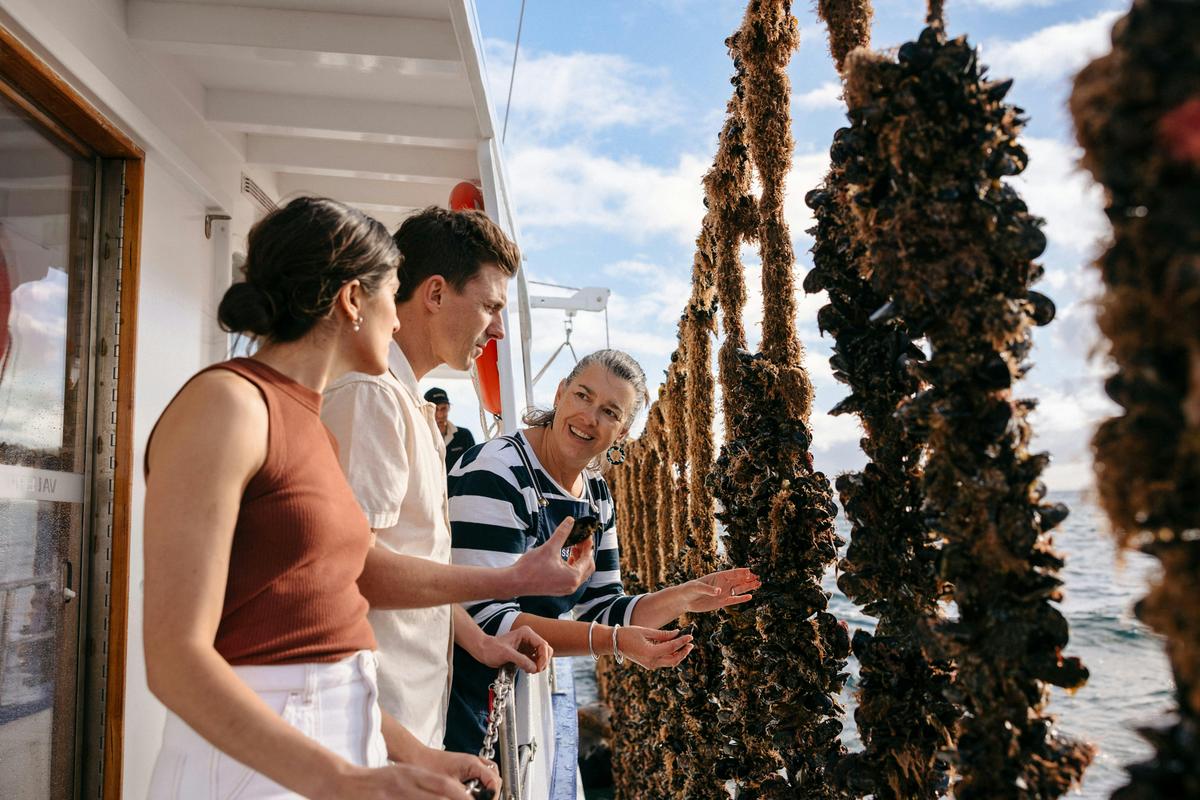 Classic Mussel Tour