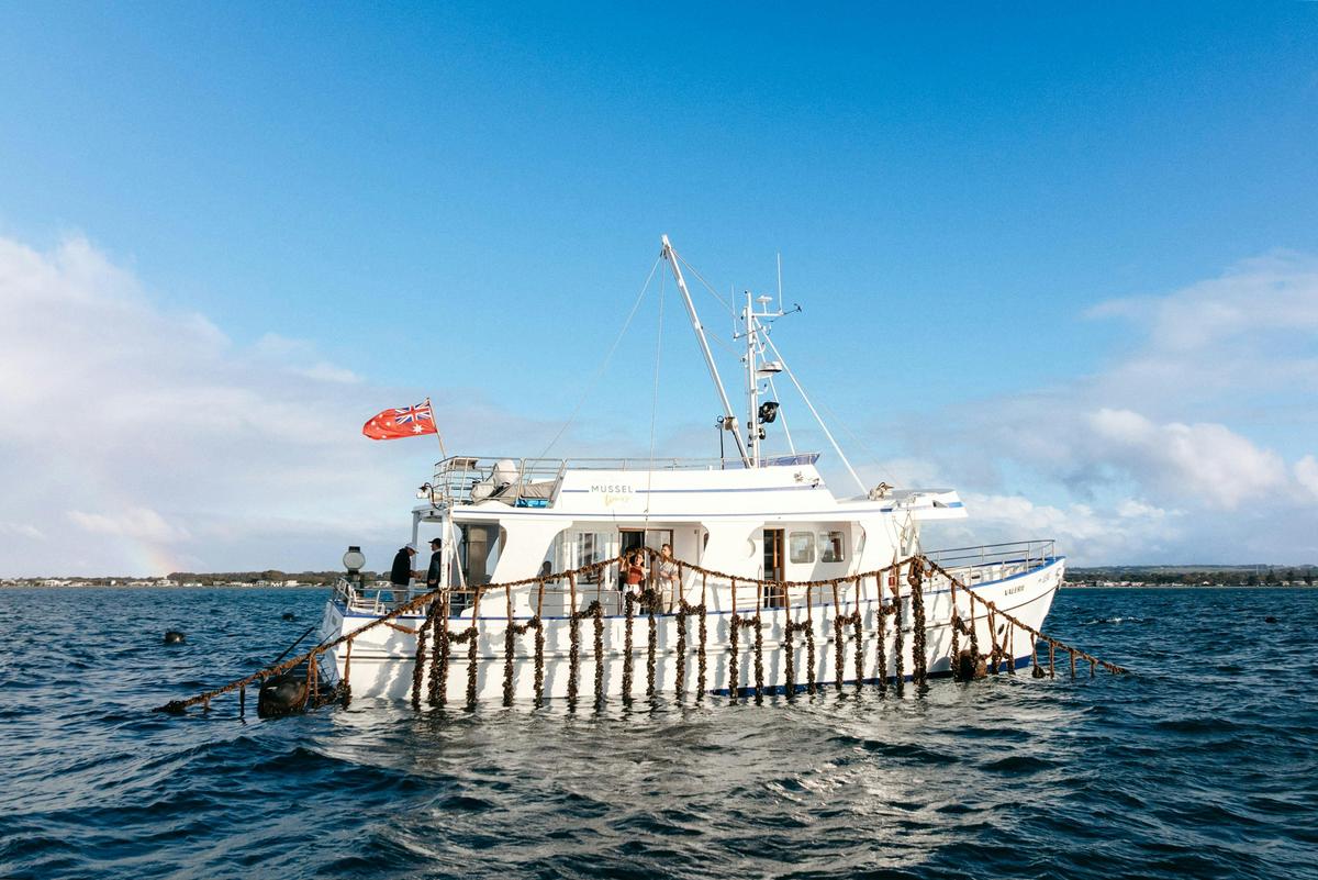 Classic Mussel Tour