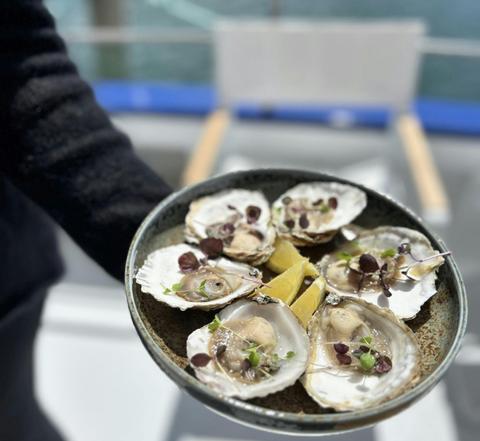 Portarlington Mussel Tours