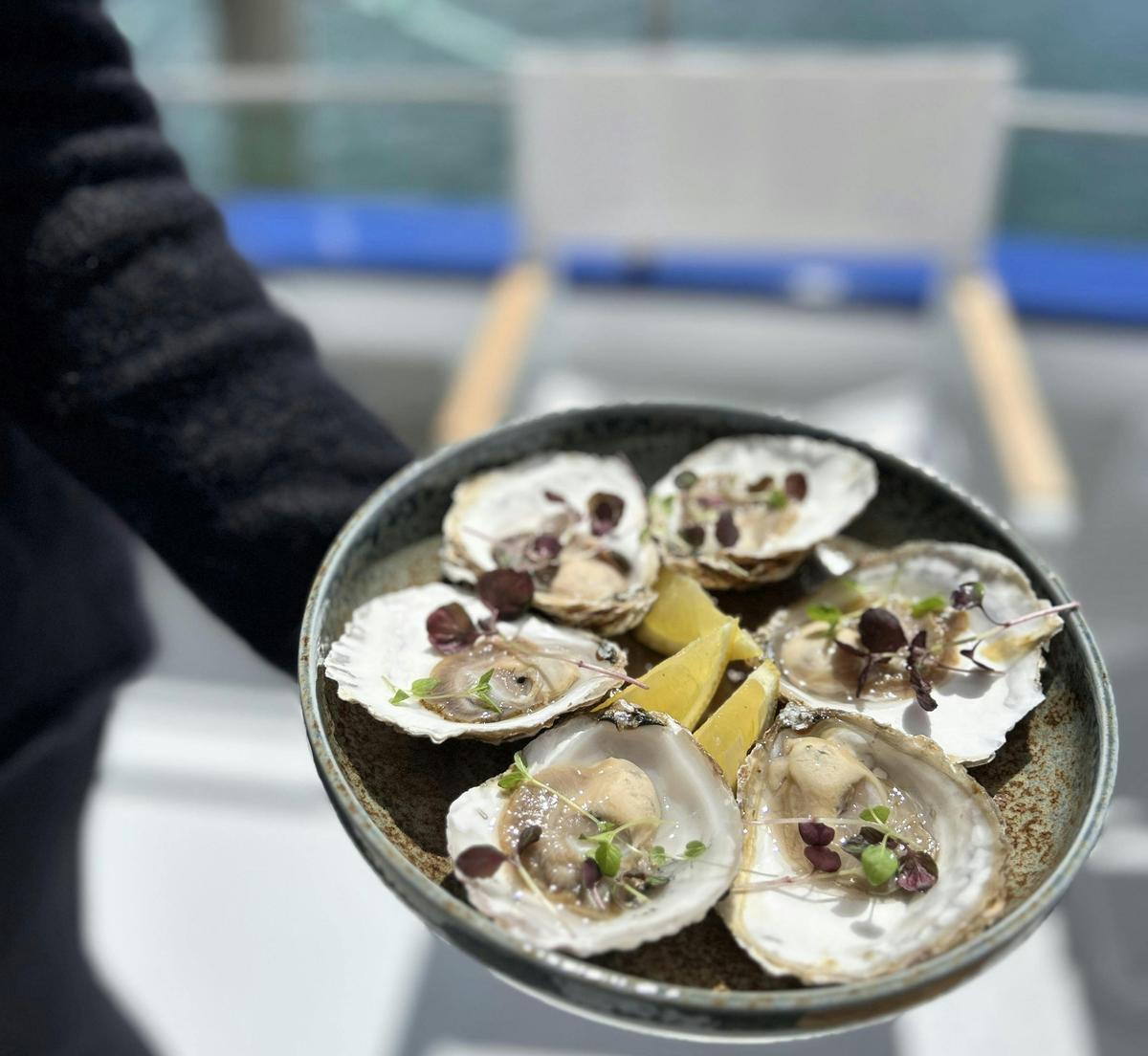 Portarlington Mussel Tours