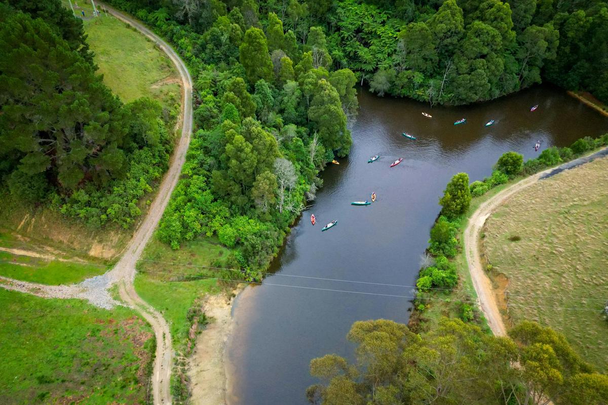 Aerial shot of people canoeing