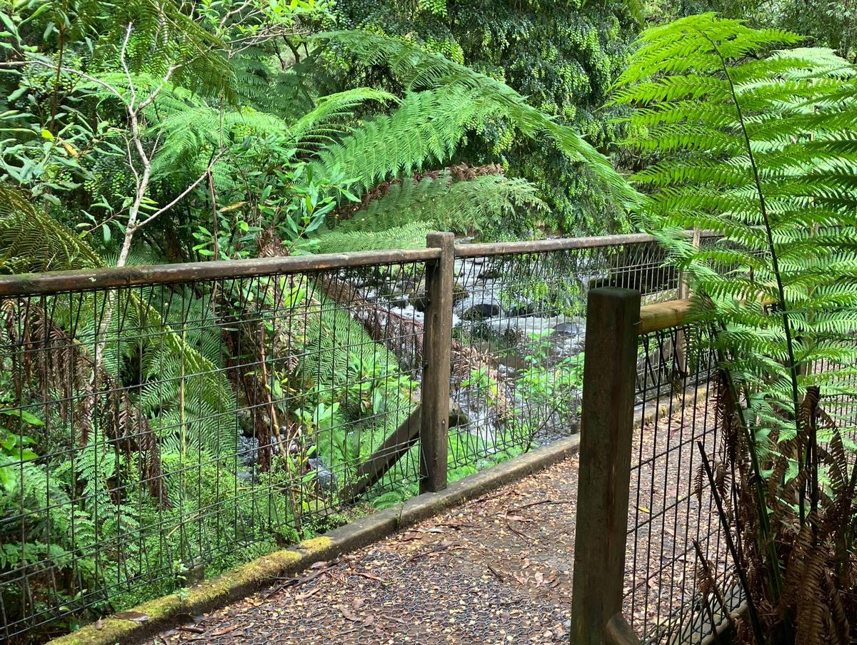 Bridge crossing Phantom Falls